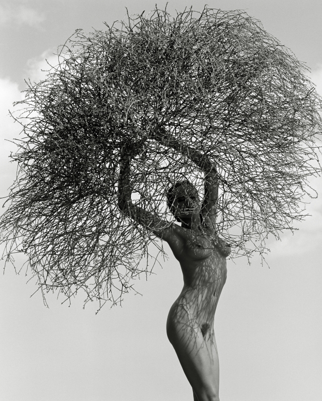 Neith with Shadows (Front), Poundridge 1985.jpg