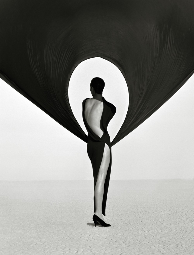 VERSACE DRESS, BACK VIEW.jpg