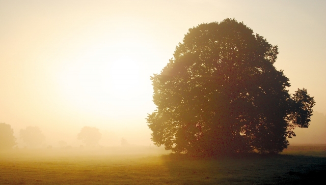 autumn-996009_1280.jpg