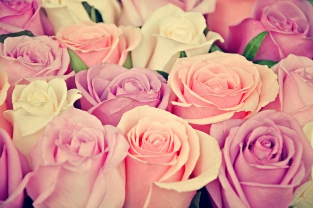 rose_vaso-640x427.jpg