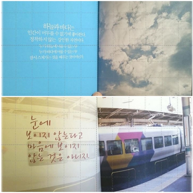 layout 2016-2-24.jpg
