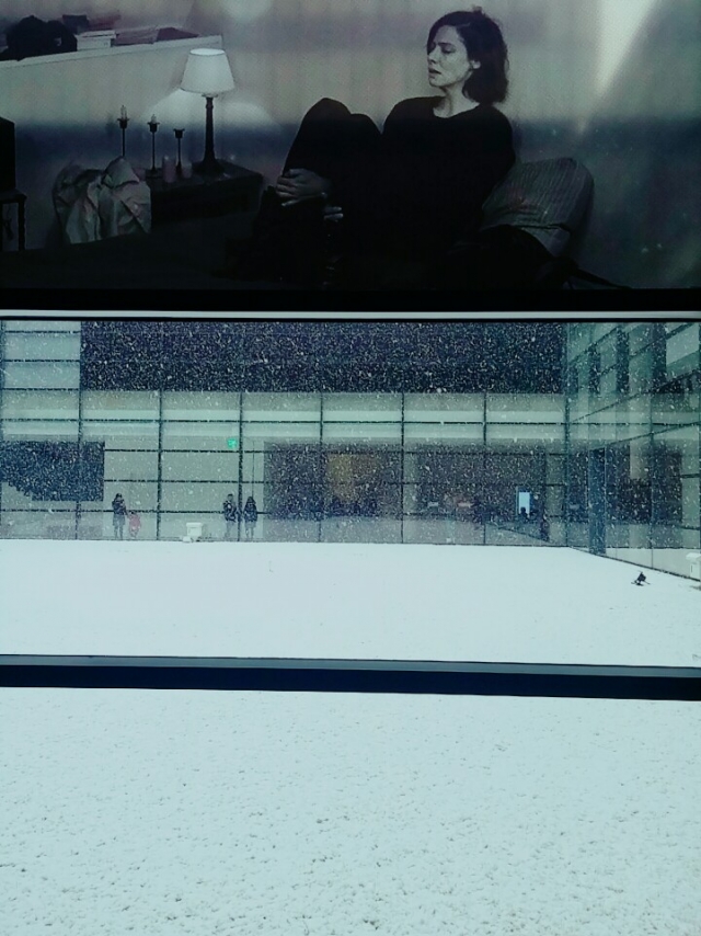 KakaoTalk_20160229_162450129.jpg