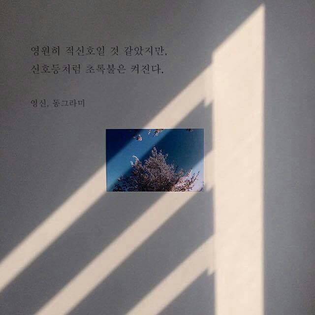 KakaoTalk_20160224_180924382.jpg