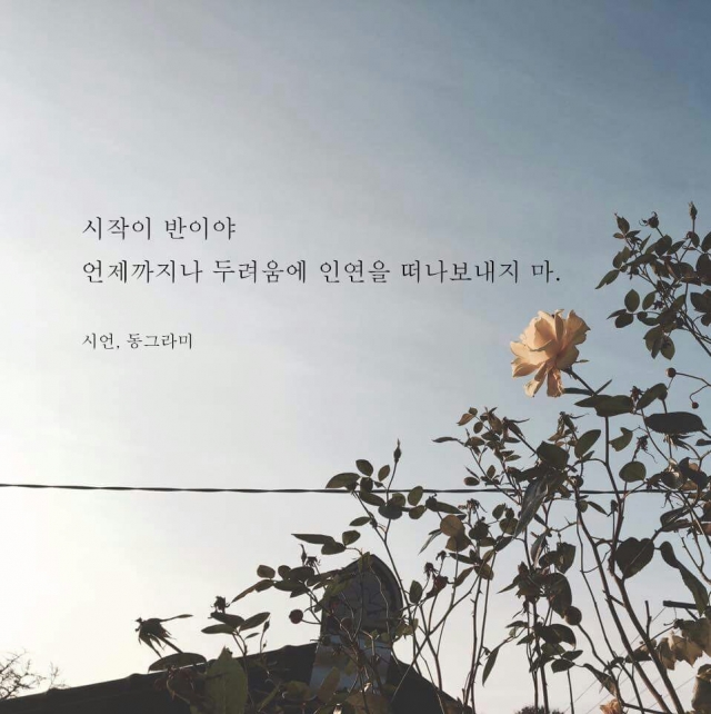 KakaoTalk_20160224_180913529.jpg