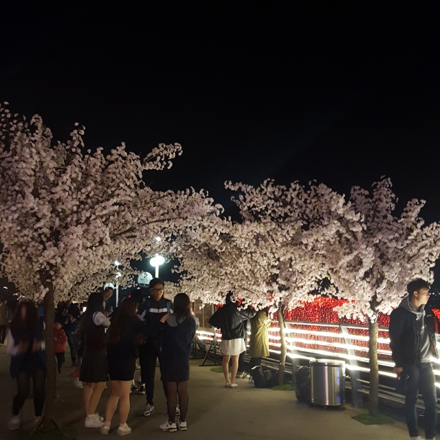 20160401_203115.jpg