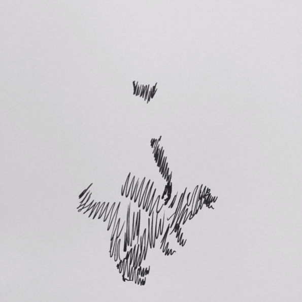 nimbus-image-1460023788260.png