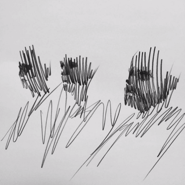 nimbus-image-1460023465075.png