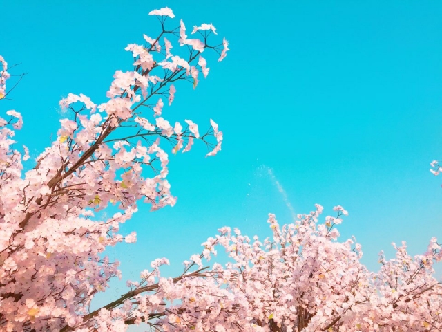 KakaoTalk_20160405_202851492.jpg